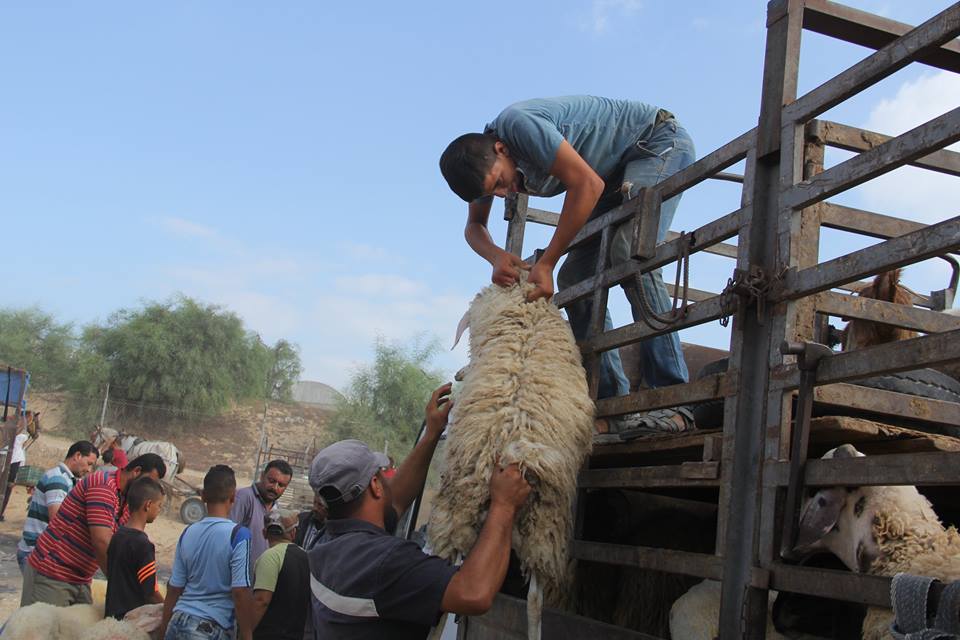  أجواء استقبال المواطنين في غزةلعيد الأضحى المبارك