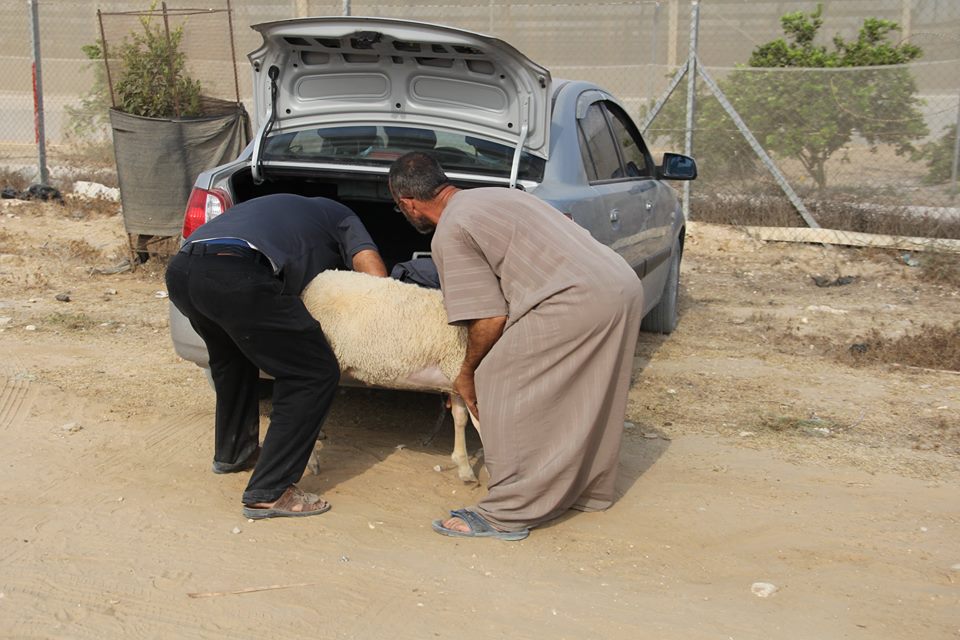  أجواء استقبال المواطنين في غزةلعيد الأضحى المبارك
