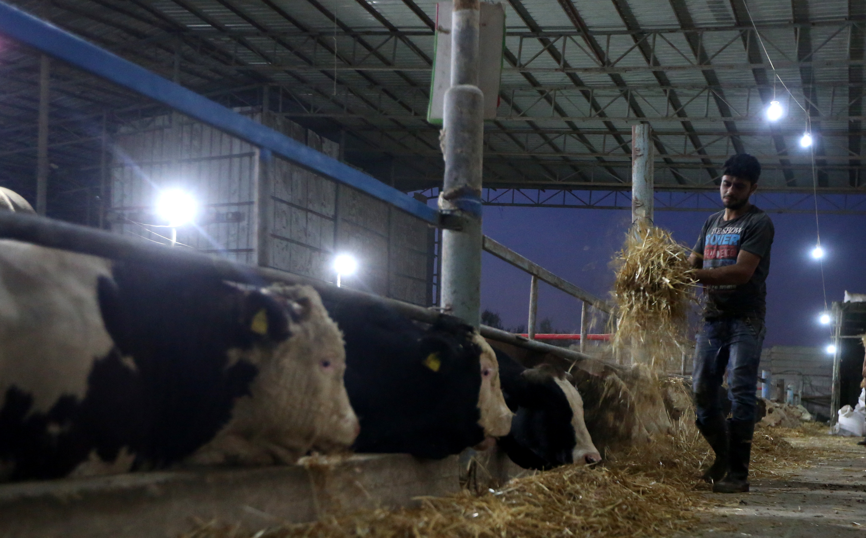  أجواء استقبال المواطنين في غزةلعيد الأضحى المبارك