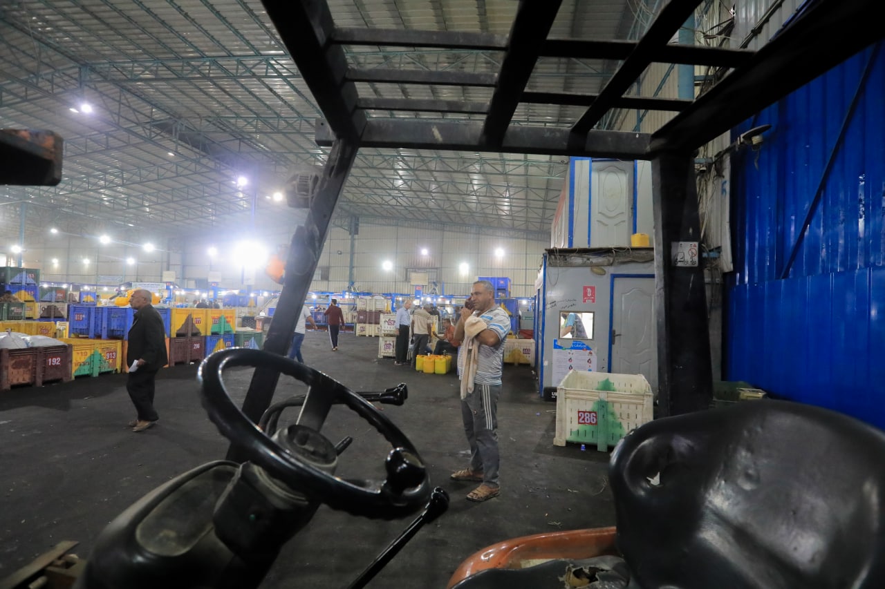 مـوسـم قـطف الزيتون في غـزة