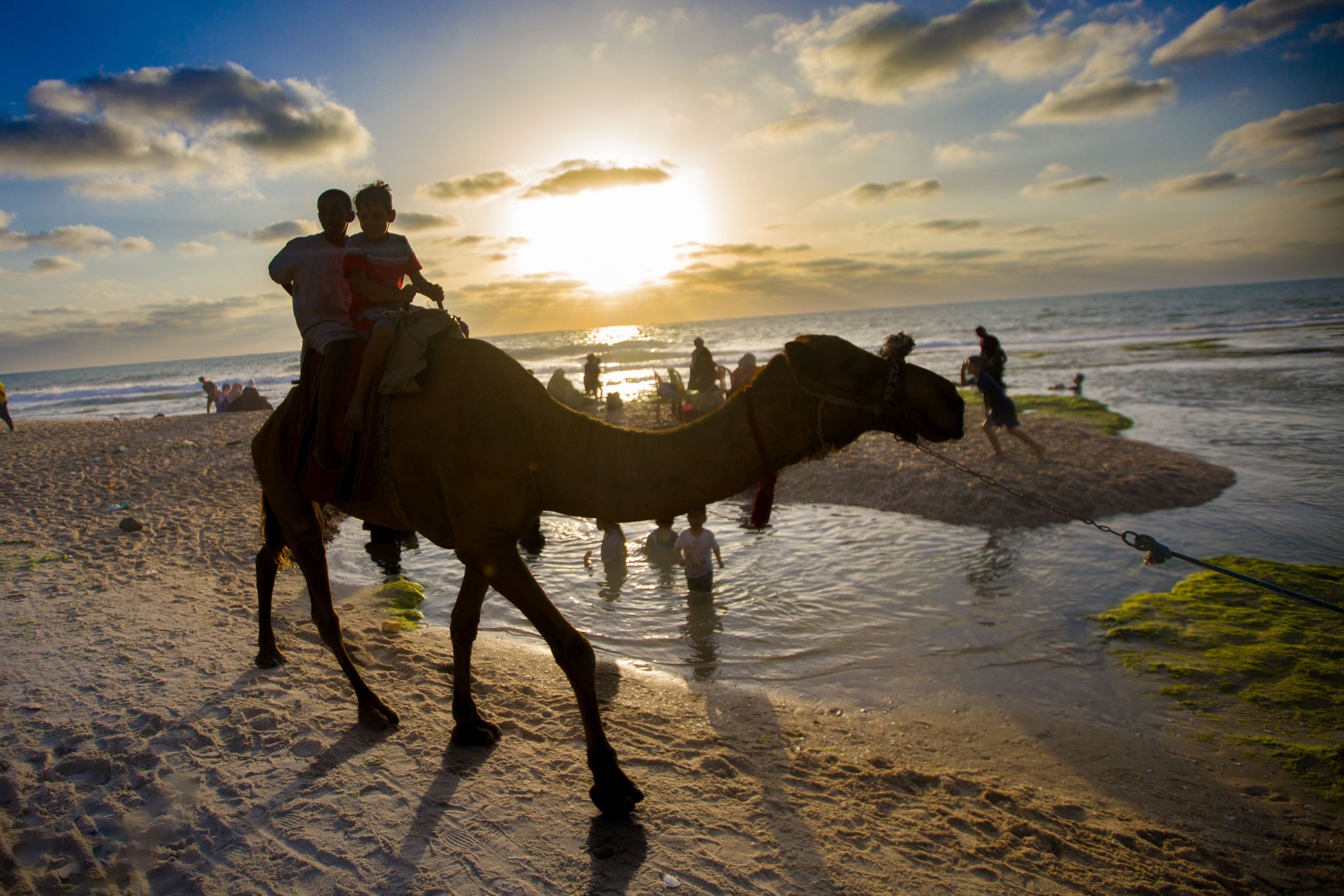 صور من عمل أجهزة وزارة الداخلية والأمن الوطني خلال عطلة نهاية الأسبوع