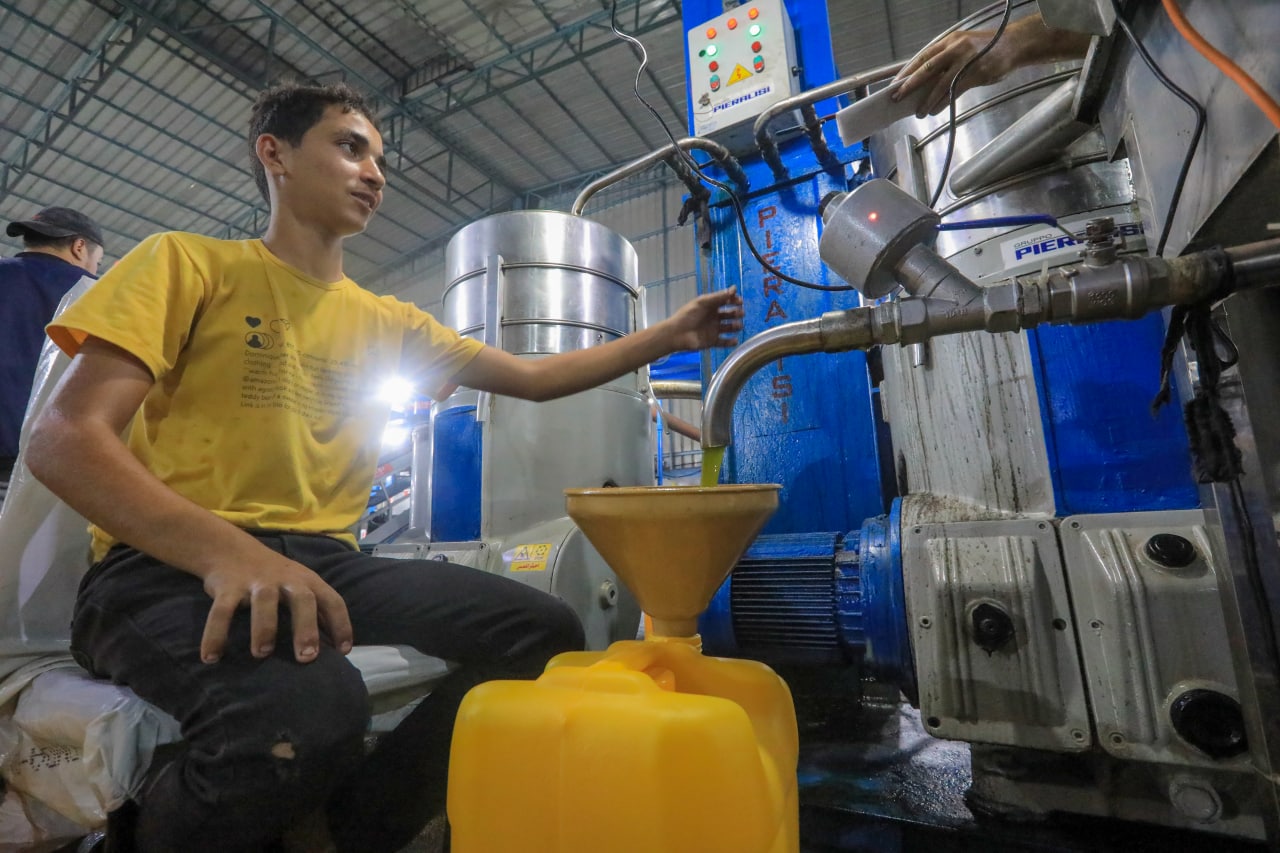 مـوسـم قـطف الزيتون في غـزة