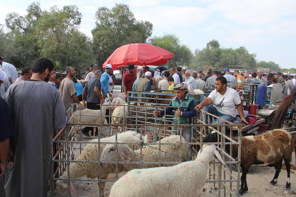  أجواء استقبال المواطنين في غزةلعيد الأضحى المبارك