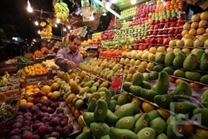 مباحث تموين خان يونس تتلف كمية من الفواكه واللحوم الفاسدة