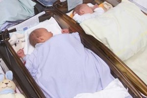 داخلية غزة تُسجل 5401 مولوداً جديداً خلال 3 شهور