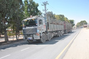 إدخال "420" شاحنة الأحد عبر معبر "أبو سالم"