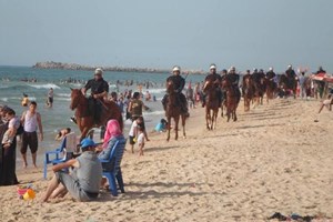 الشرطة تشرع بتنفيذ خطة صيف 2015م بداية مايو