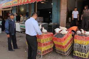 شرطة بلديات الشمال تضبط كمية من الدجاج الفاسد