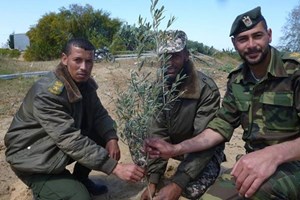 الكتيبة الثانية برفح تشارك في فعاليات يوم الأرض