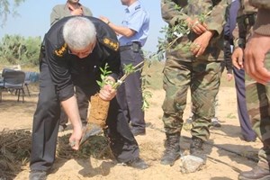 الداخلية تشرع بحملة زراعة نصف مليون شجرة بالقطاع 