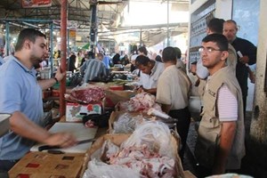 ضبط"80" كيلو سمك فاسد برفح