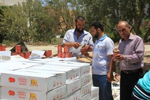 مباحث التموين تُتلف مواد غذائية منتهية الصلاحية