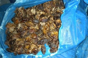 مباحث الوسطى تضبط 90 كرتونة تمر فاسد