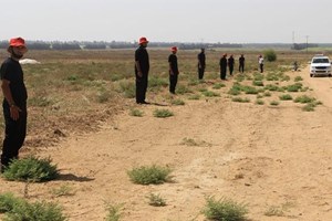 هندسة المتفجرات تُمشط الأراضي الزراعية شرق خانيونس