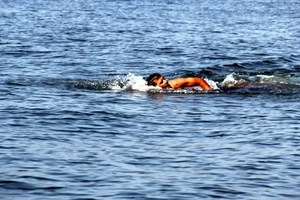 اتحاد الرياضة العسكرية يختتم بطولة فلسطين للسباحة