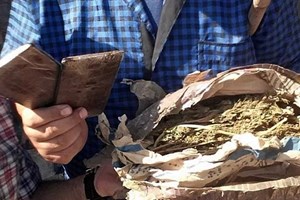  المكافحة تضبط كمية من المخدرات في أحد المنازل شمال رفح