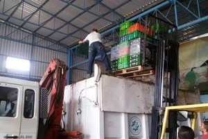 مباحث التموين بالوسطى تتلف كمية من المواد الغذائية