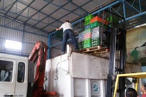 مباحث تموين الوسطى تتلف كمية من المواد الغذائية