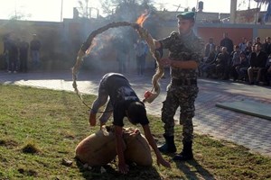 فتوة الشمال تنظم احتفالا لطلاب الثانوية 