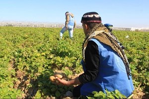  "النزيل المنتج".. فلسفة جديدة للتأهيل الإصلاحي
