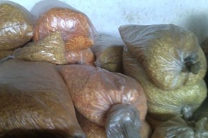 شرطة بلديات الوسطى تضبط كمية من الشيبس الفاسد 