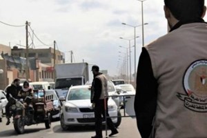 مكافحة المخدرات في رفح تضبط 36 شتلة بانجو