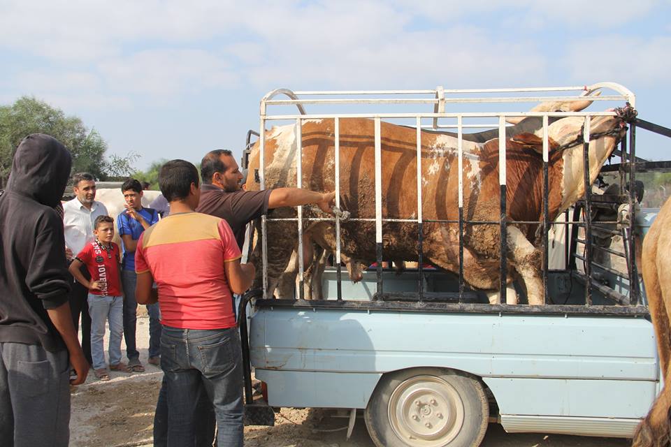  أجواء استقبال المواطنين في غزةلعيد الأضحى المبارك