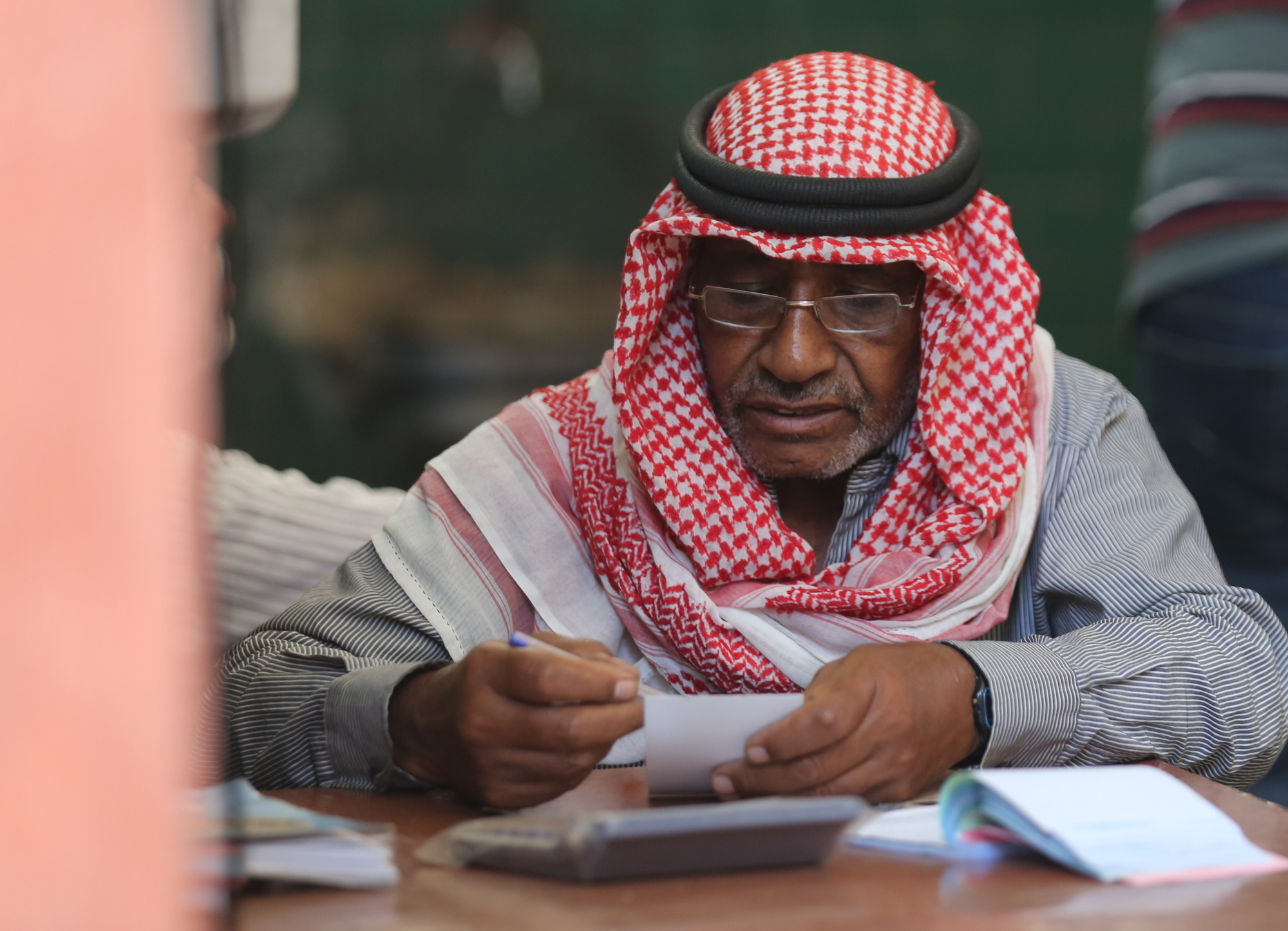 بالصور: موسم حصاد الزيتون في غزة