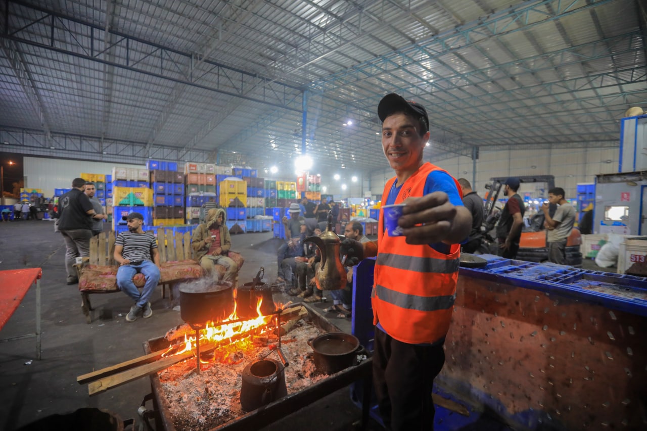 مـوسـم قـطف الزيتون في غـزة