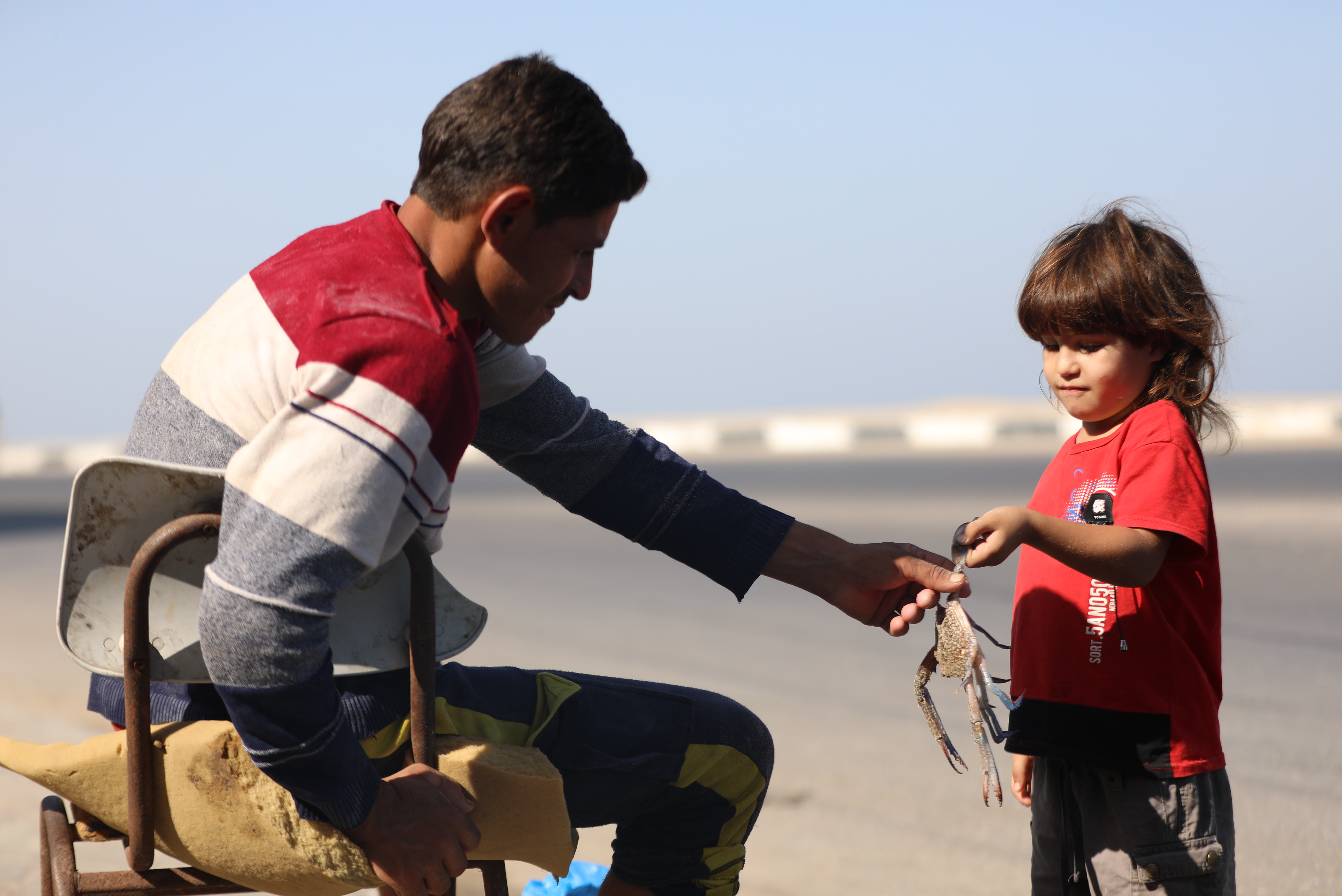 موسم صيد "سلطعون البحر" في غزة