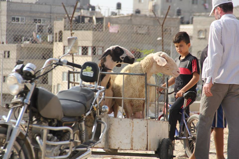  أجواء استقبال المواطنين في غزةلعيد الأضحى المبارك