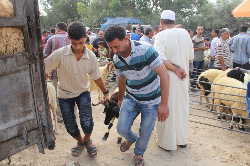  أجواء استقبال المواطنين في غزةلعيد الأضحى المبارك