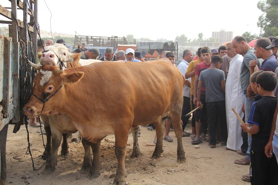  أجواء استقبال المواطنين في غزةلعيد الأضحى المبارك