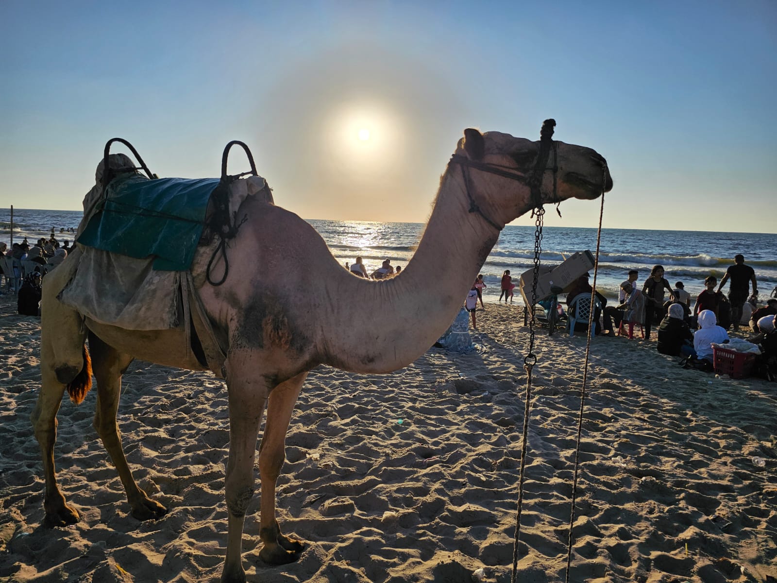 اصطياف المواطنين بغزة على شاطئ البحر وعدد من الأماكن الترفيهية خلال الإجازة الأسبوعية