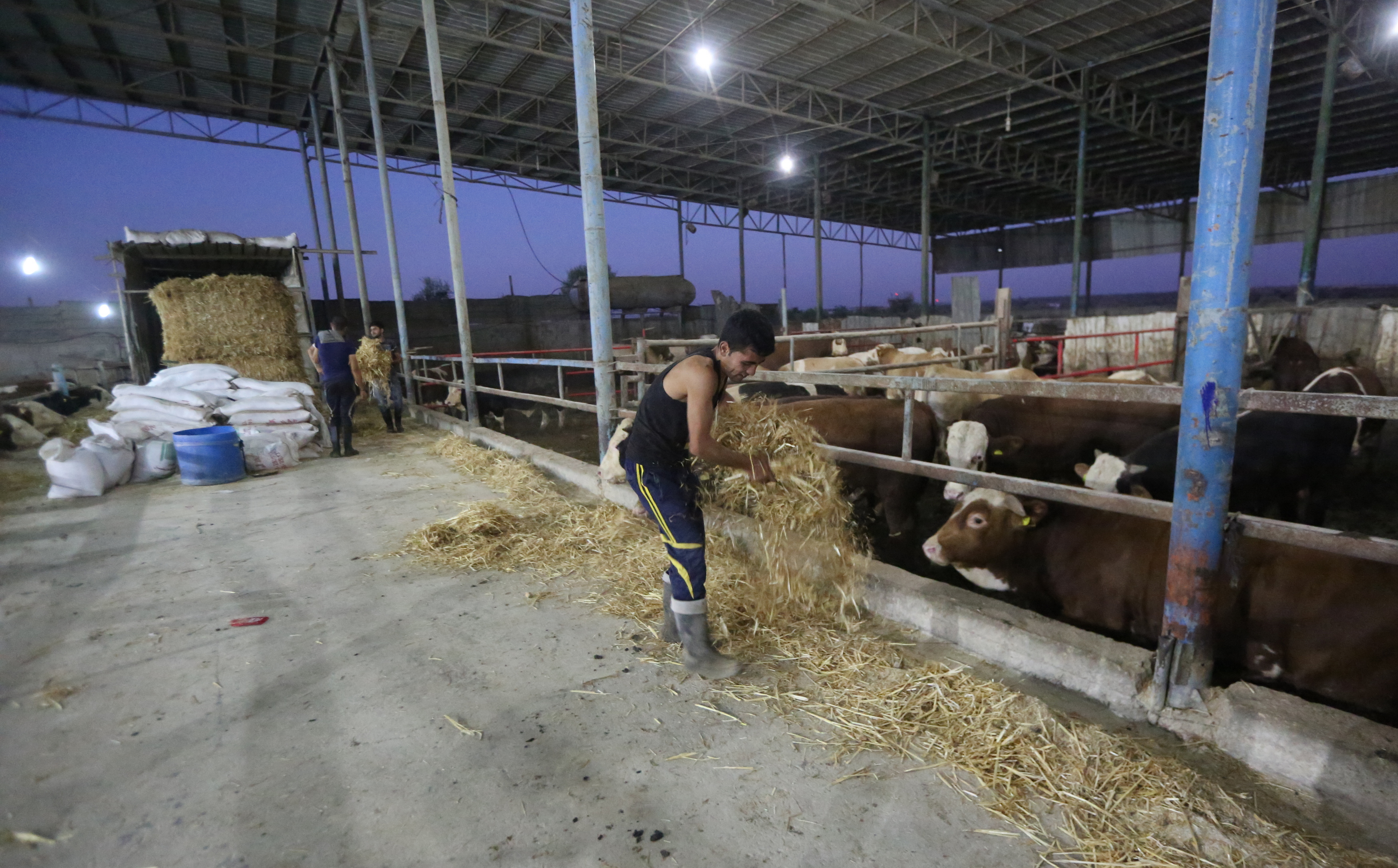  أجواء استقبال المواطنين في غزةلعيد الأضحى المبارك