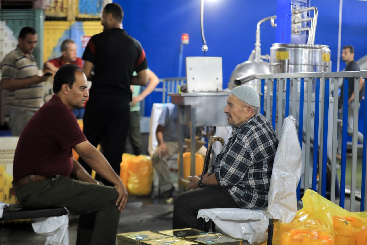 مـوسـم قـطف الزيتون في غـزة