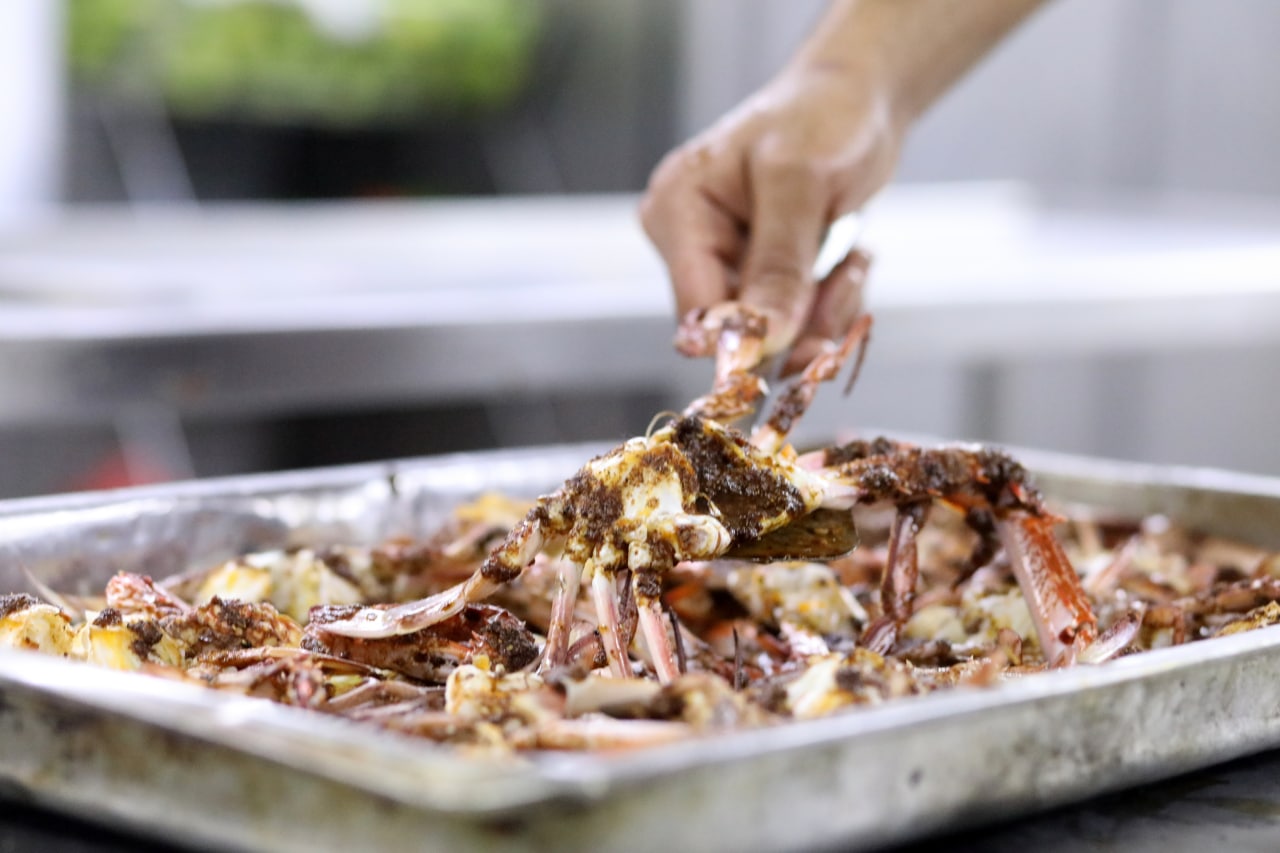 موسم صيد "سلطعون البحر" في غزة