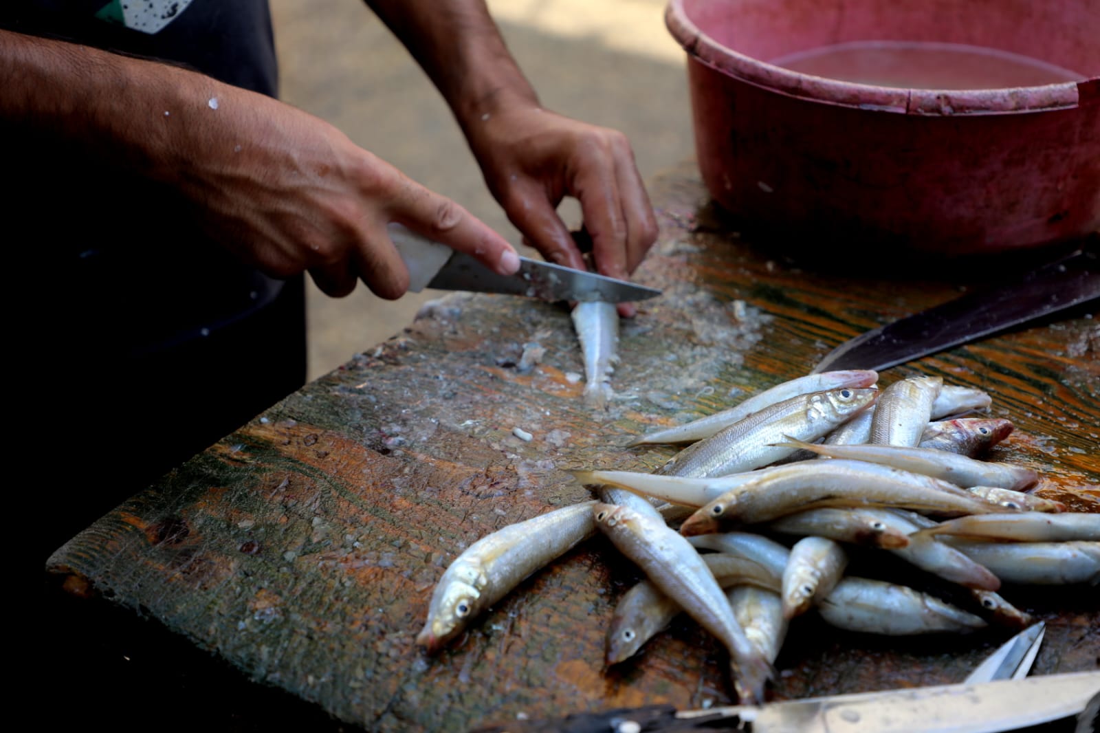 أجواء الحياة العامة في الأسواق والأماكن الحيوية بغزة