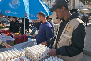 "مباحث التموين" تتلف 686 كجم مواد غذائية فاسدة