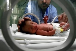 إحصائية: 1701 مولود جديد بقطاع غزة خلال مايو الماضي