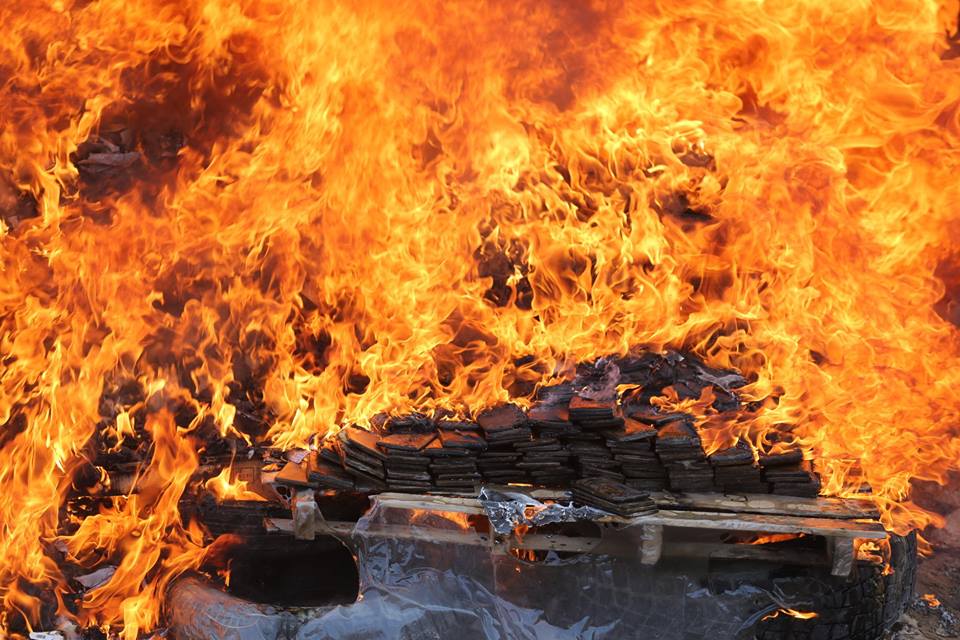 المؤتمر السنوي لإتلاف المخدرات الذي عقدته وزارة الداخلية 