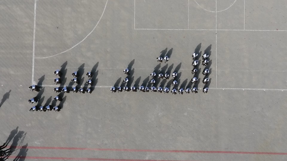 حفل تخريج الدورة التأسيسية الـ (29 نساء) بالمديرية العامة للتدريب