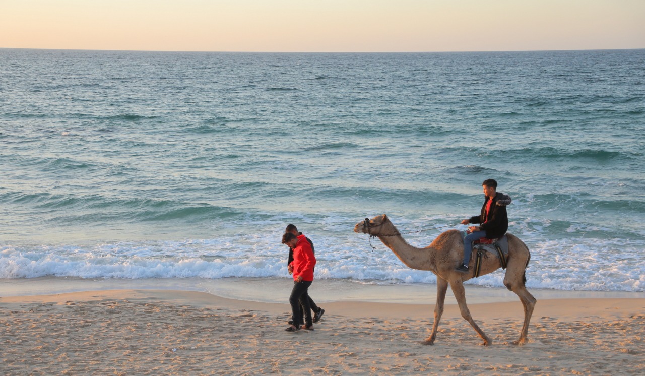 أجواء قضاء المواطنين بغزة الإجازة الأسبوعية في عدد من الأماكن الترفيهية مساء الجمعة
