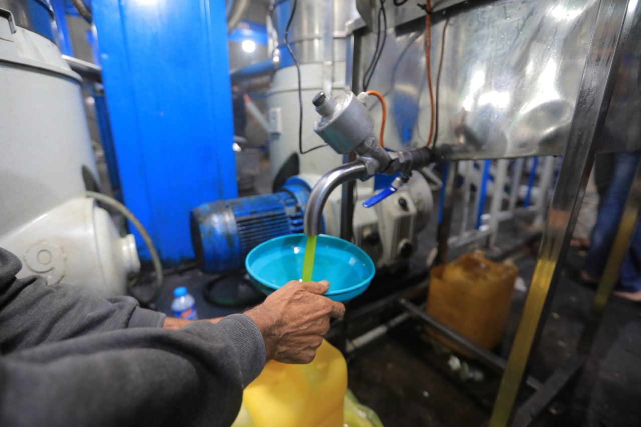 مـوسـم قـطف الزيتون في غـزة