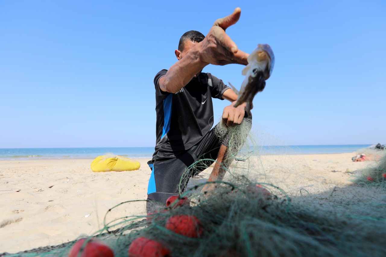 موسم صيد "سلطعون البحر" في غزة